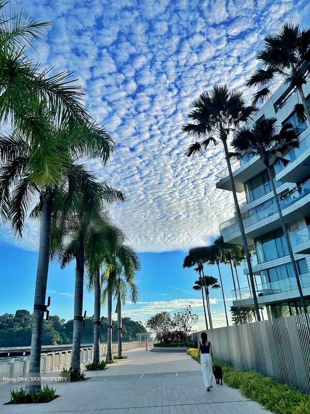Reflections At Keppel Bay (D4), Condominium #454024791